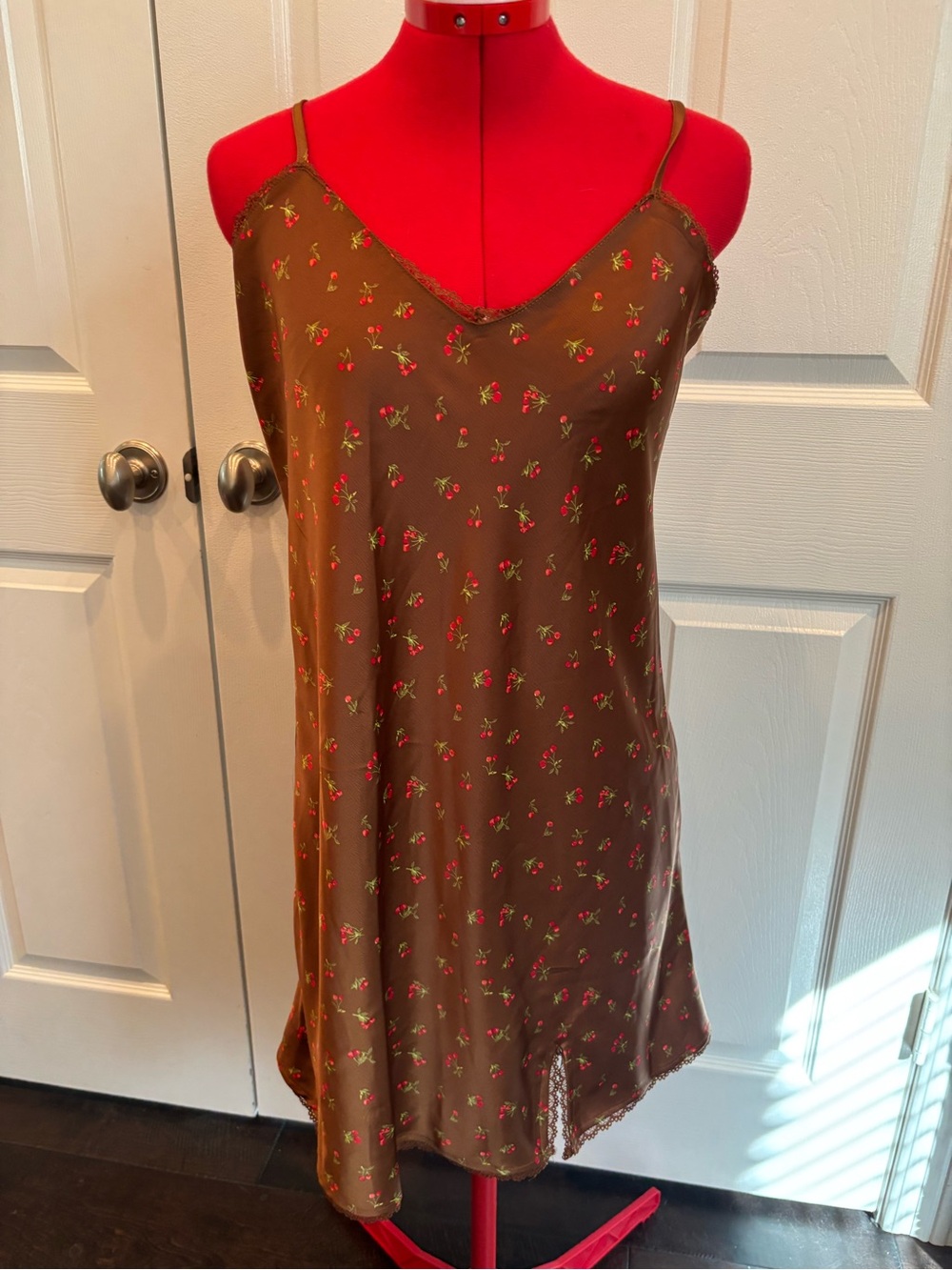 wild fable Brown Floral Mini Slip Dress with Red Accents includes slip